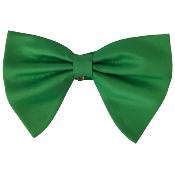 Nœud papillon vert